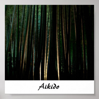 Aikido Japanse martial Art Poster