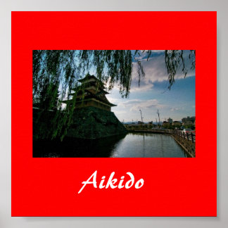 Aikido Japanse martial Art Poster