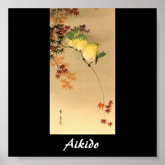 Aikido Japanse martial Art Poster (Voorkant)