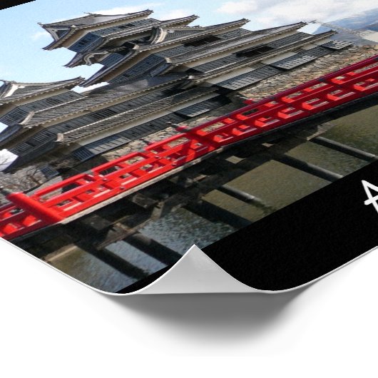 Aikido Japanse martial Art Poster (Hoek)