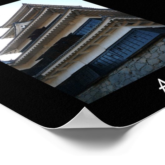 Aikido Japanse martial Art Poster (Hoek)