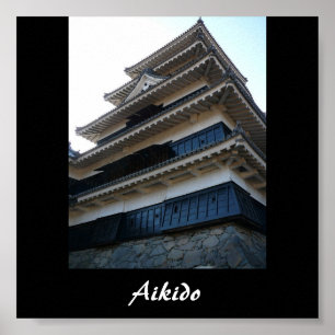 Aikido Japanse martial Art Poster