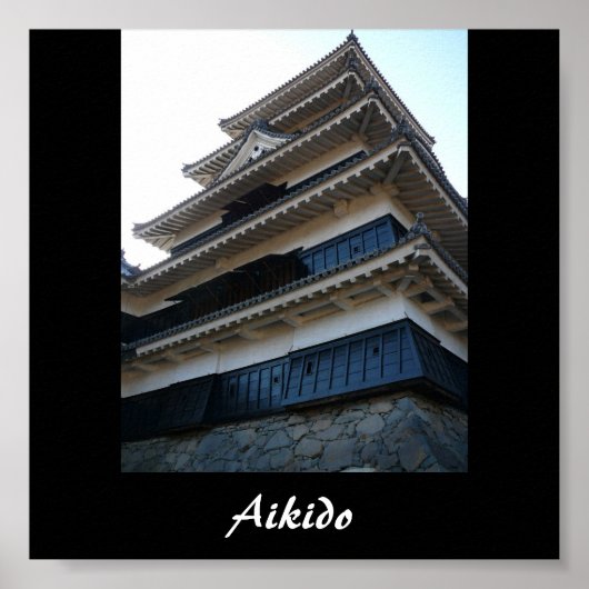 Aikido Japanse martial Art Poster (Voorkant)
