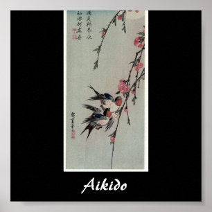 Aikido Japanse martial Art Poster
