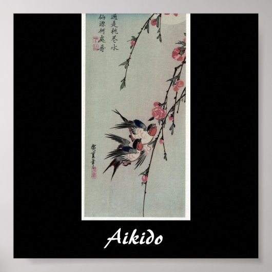 Aikido Japanse martial Art Poster (Voorkant)