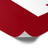 Aikido Poster (Hoek)