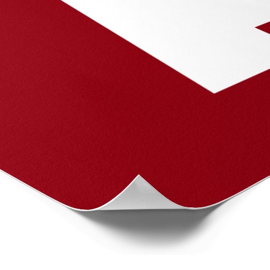 Aikido Poster (Hoek)