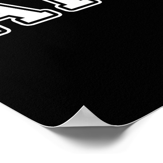 Aikido Poster (Hoek)