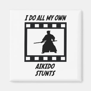 Aikido Stunts Magneet