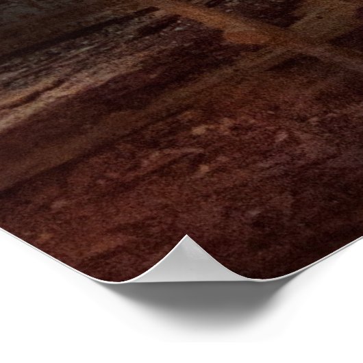 ail - Sick Bay Poster (Hoek)