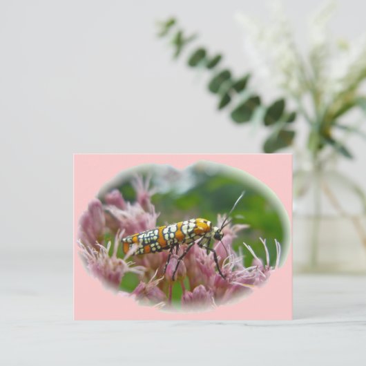 Ailanthus Webworm Moth (Atteva punctella) Briefkaart (Staand voorkant)