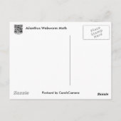 Ailanthus Webworm Moth (Atteva punctella) Briefkaart (Achterkant)