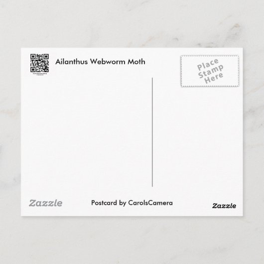 Ailanthus Webworm Moth (Atteva punctella) Briefkaart (Achterkant)