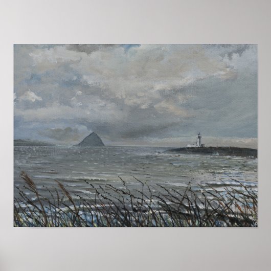 Ailsa Craig uit Arran 2007 Poster (Voorkant)