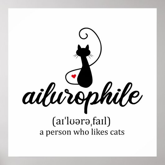 Ailurophile Poster (Voorkant)