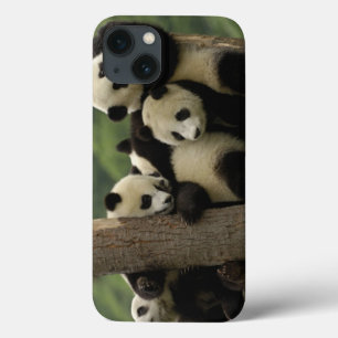 Ailuropoda melanoleuca) 4 Case-Mate iPhone case