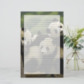 Ailuropoda melanoleuca) briefpapier (Staand voorkant)