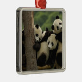 Ailuropoda melanoleuca) metalen ornament (Rechts)