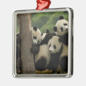 Ailuropoda melanoleuca) metalen ornament (Links)