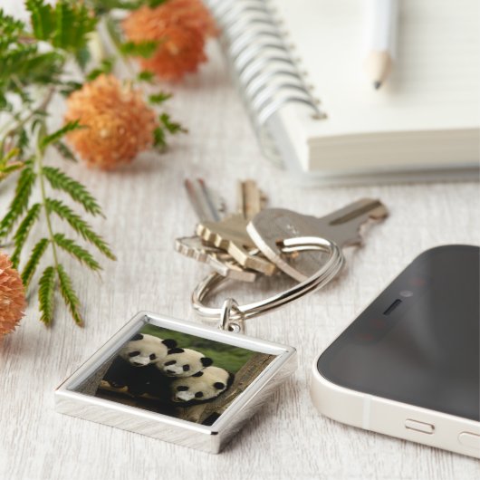 Ailuropoda melanoleuca) sleutelhanger (Zijkant)