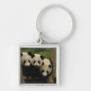 Ailuropoda melanoleuca) sleutelhanger