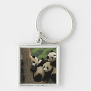 Ailuropoda melanoleuca) sleutelhanger