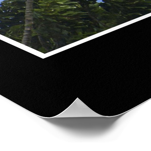 AIM HOOG ~ Motivatie Poster (Hoek)