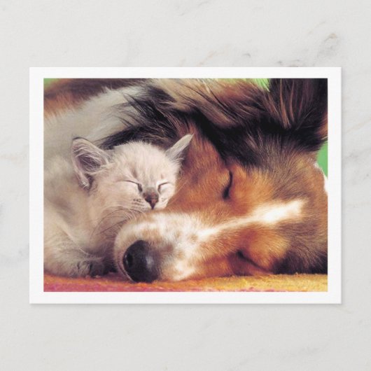 Ain't Love Grand Briefkaart (Voorkant)