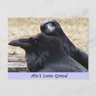 Ain't Love Grand Ravens in love briefkaart