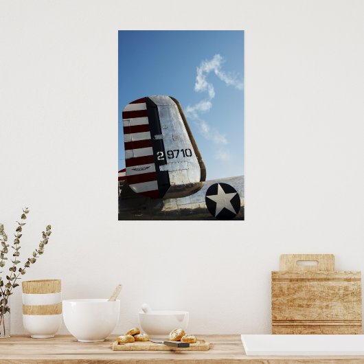 Air Americana Poster (Keuken)