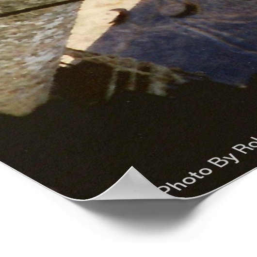 "Air Dive"-druk Poster (Hoek)