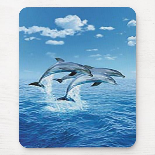 Air Dolphins-Muismat Muismat (Voorkant)