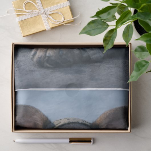 Air Force Pupper  Tissuepapier (Geschenk)