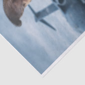 Air Force Pupper  Tissuepapier (Detail)