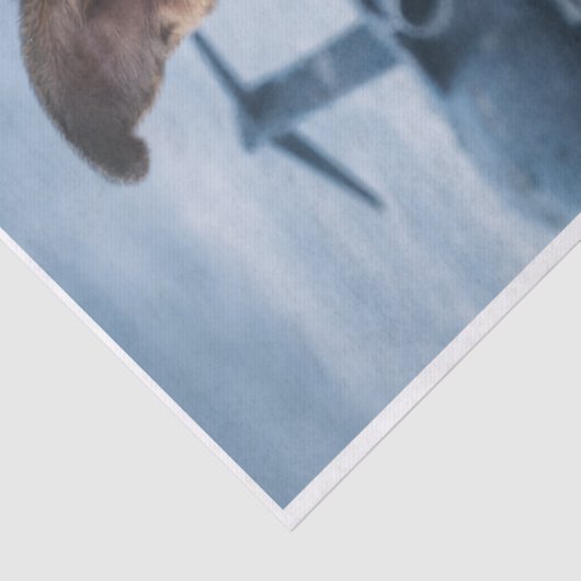 Air Force Pupper  Tissuepapier (Detail)