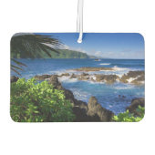 Air Freshener-Island Breeze Luchtverfrisser (Achterkant)