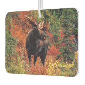 Air Freshner-Yellowstone Moose Luchtverfrisser