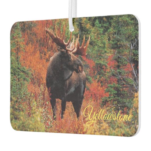 Air Freshner-Yellowstone Moose Luchtverfrisser (Links)
