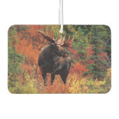 Air Freshner-Yellowstone Moose Luchtverfrisser (Voorkant)