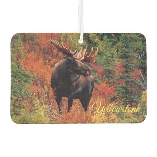 Air Freshner-Yellowstone Moose Luchtverfrisser