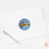 Air Mail Biplane Ronde Sticker (Envelop)
