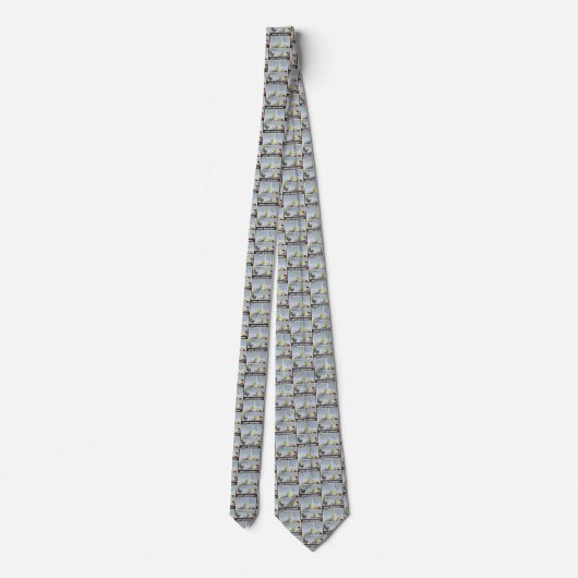 Air Plane Necktie Stropdas (Achterkant)