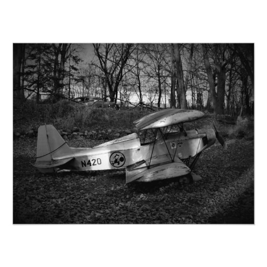 "Airborne Scars" Foto Afdruk (Voorkant)