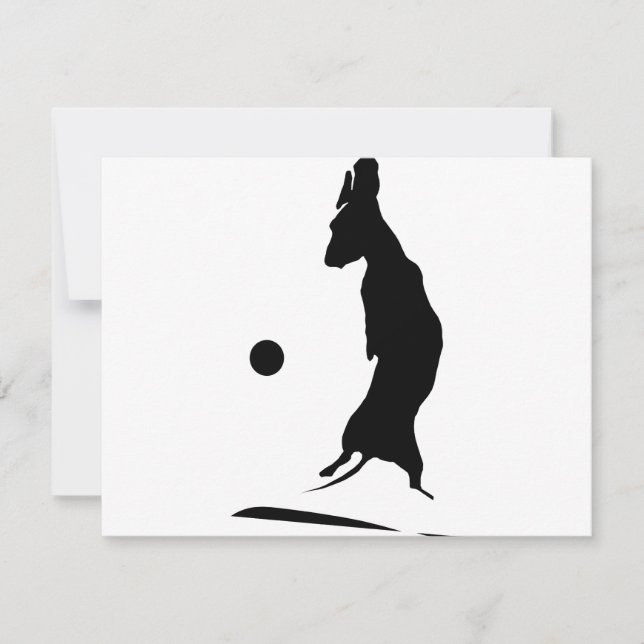 Airborne Weiner (Voorkant)