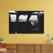 Aircrews naderen Farallon Island Canvas Afdruk (Insitu (Woonkamer))