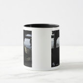 Aircrews naderen Farallon Island Mok (Midden)