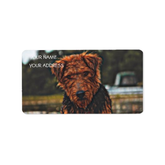 Airedale bij het spelen - groter etiket (Voorkant)