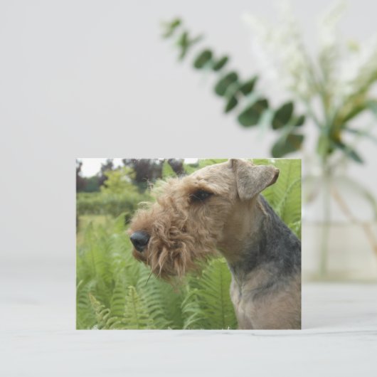 Airedale Briefkaart (Staand voorkant)