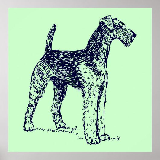 Airedale Dog Poster (Voorkant)