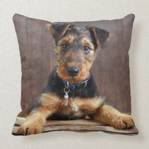 Airedale doodsbange puppy kussen